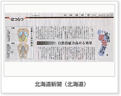 北海道新聞