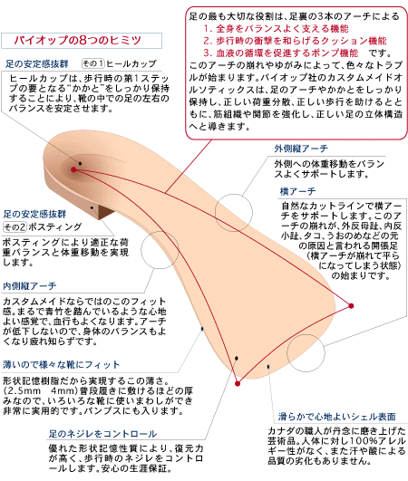 バイオップインソールの特徴